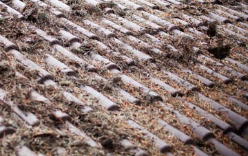 Colesbourne roof cleaning companies